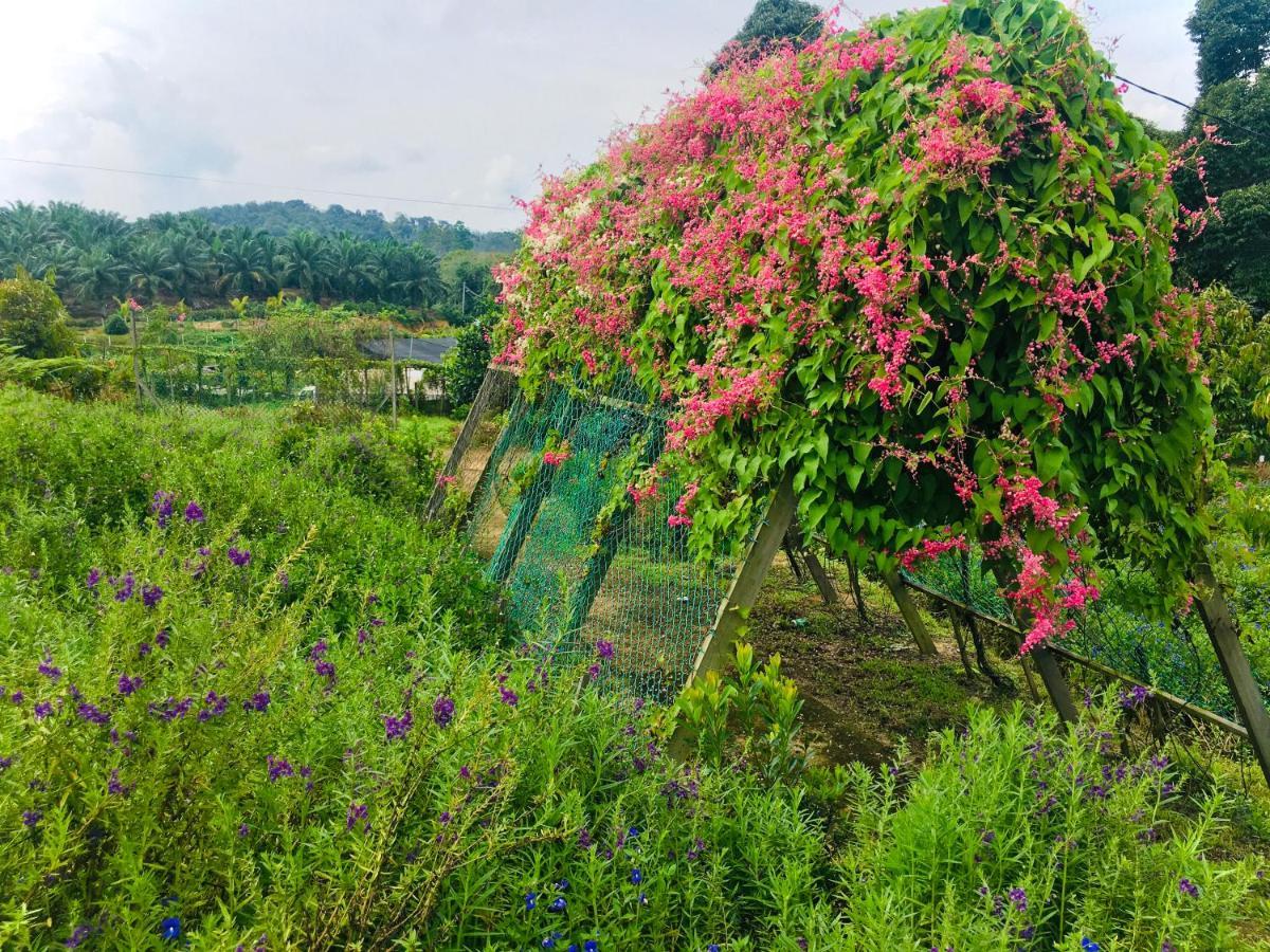 Durian Ecolodge Tampin Dış mekan fotoğraf